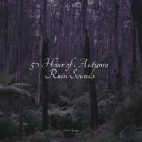 50 Hour of Autumn Rain Sounds