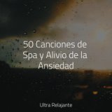 50 Canciones de Spa y Alivio de la Ansiedad