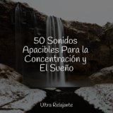 50 Sonidos Apacibles Para la Concentración y El Sueño