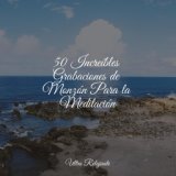 50 Increíbles Grabaciones de Monzón Para la Meditación