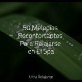50 Melodías Reconfortantes Para Relajarse en El Spa