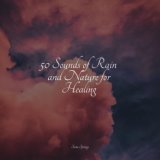 50 Sounds of Rain and Nature for Healing