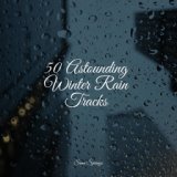 50 Astounding Winter Rain Tracks