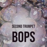 Second Trumpet Bops