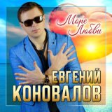 Евгений Коновалов