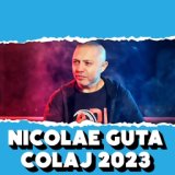 Nicolae Guta COLAJ 2023