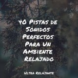 40 Pistas de Sonidos Perfectos Para Un Ambiente Relajado