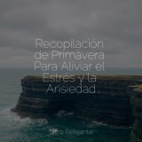 Recopilación de Primavera Para Aliviar el Estrés y la Ansiedad