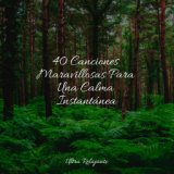 40 Canciones Maravillosas Para Una Calma Instantánea