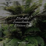 Melodías Somnolientas | Música Spa
