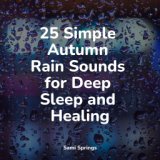 25 Simple Autumn Rain Sounds for Deep Sleep and Healing