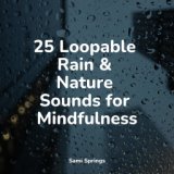 25 Loopable Rain & Nature Sounds for Mindfulness