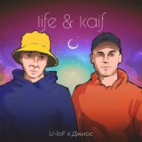 life & kaif