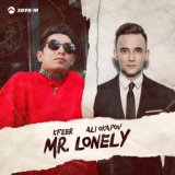 Mr. Lonely