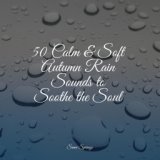 50 Calm & Soft Autumn Rain Sounds to Soothe the Soul
