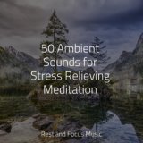 50 Ambient Sounds for Stress Relieving Meditation