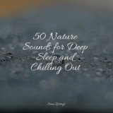 50 Nature Sounds for Deep Sleep and Chilling Out