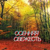 Осенняя свежесть