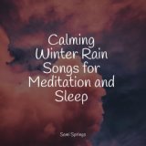 Calming Winter Rain Songs for Meditation and Sleep