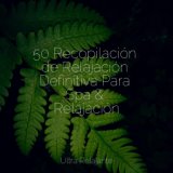 50 Recopilación de Relajación Definitiva Para Spa & Relajación