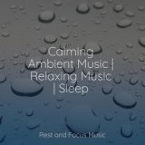 Calming Ambient Music | Relaxing Music | Sleep