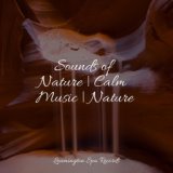 Sounds of Nature | Calm Music | Nature