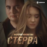 Стерва