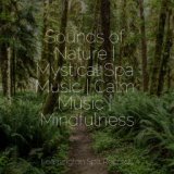 Sounds of Nature | Mystical Spa Music | Calm Music | Mindfulness