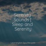 Serenity Sounds | Sleep and Serenity