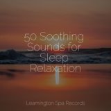 50 Soothing Sounds for Sleep Relaxation