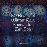 50 Beautiful Winter Rain Sounds for Zen Spa