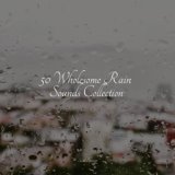 50 Wholesome Rain Sounds Collection