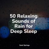 50 Relaxing Sounds of Rain for Deep Sleep