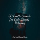 50 Gentle Sounds for Calm Deeply Relaxing