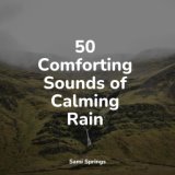 50 Comforting Sounds of Calming Rain