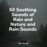 50 Comforting Rain Sounds