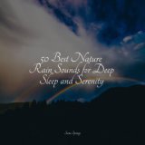 50 Best Nature Rain Sounds for Deep Sleep and Serenity