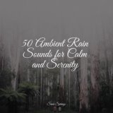50 Ambient Rain Sounds for Calm and Serenity