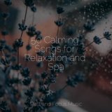 50 Calming Songs for Relaxation and Spa