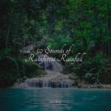 50 Sounds of Rainforest Rainfall