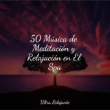 50 Música de Meditación y Relajación en El Spa