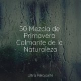 50 Mezcla de Primavera Calmante de la Naturaleza