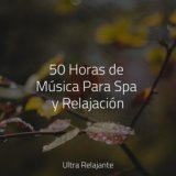 50 Horas de Música Para Spa y Relajación