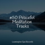 #50 Peaceful Meditation Tracks