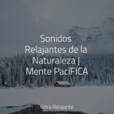 Sonidos Relajantes de la Naturaleza | Mente PacíFICA