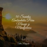 50 Sonidos Ambientales Para Masaje y Mindfulness