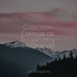 Colección Esencial de Relajación y Meditación