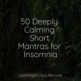 50 Deeply Calming Short Mantras for Insomnia