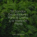 50 Sonidos Encantadores Para la Calma y la Atención Plena