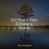 50 Música Para Estudiar y Aturdir
